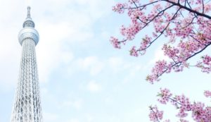 マイナビエージェント 東京の地域性