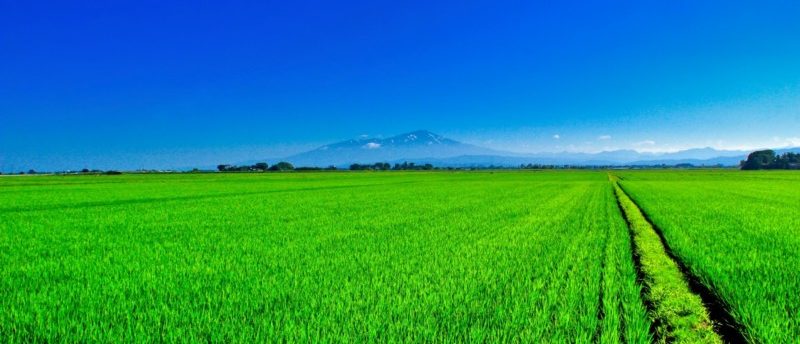 転職エージェントなら秋田で転職成功