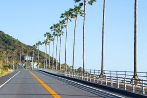 転職エージェントなら宮崎県でも転職成功