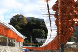 転職エージェントなら和歌山県で転職成功