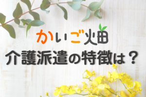 かいご畑の派遣の特徴は？かいご畑の派遣が無資格・未経験も働きやすい理由