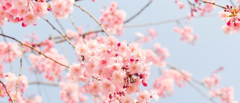 既卒 4月 入社時期