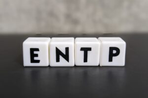 entp 適職